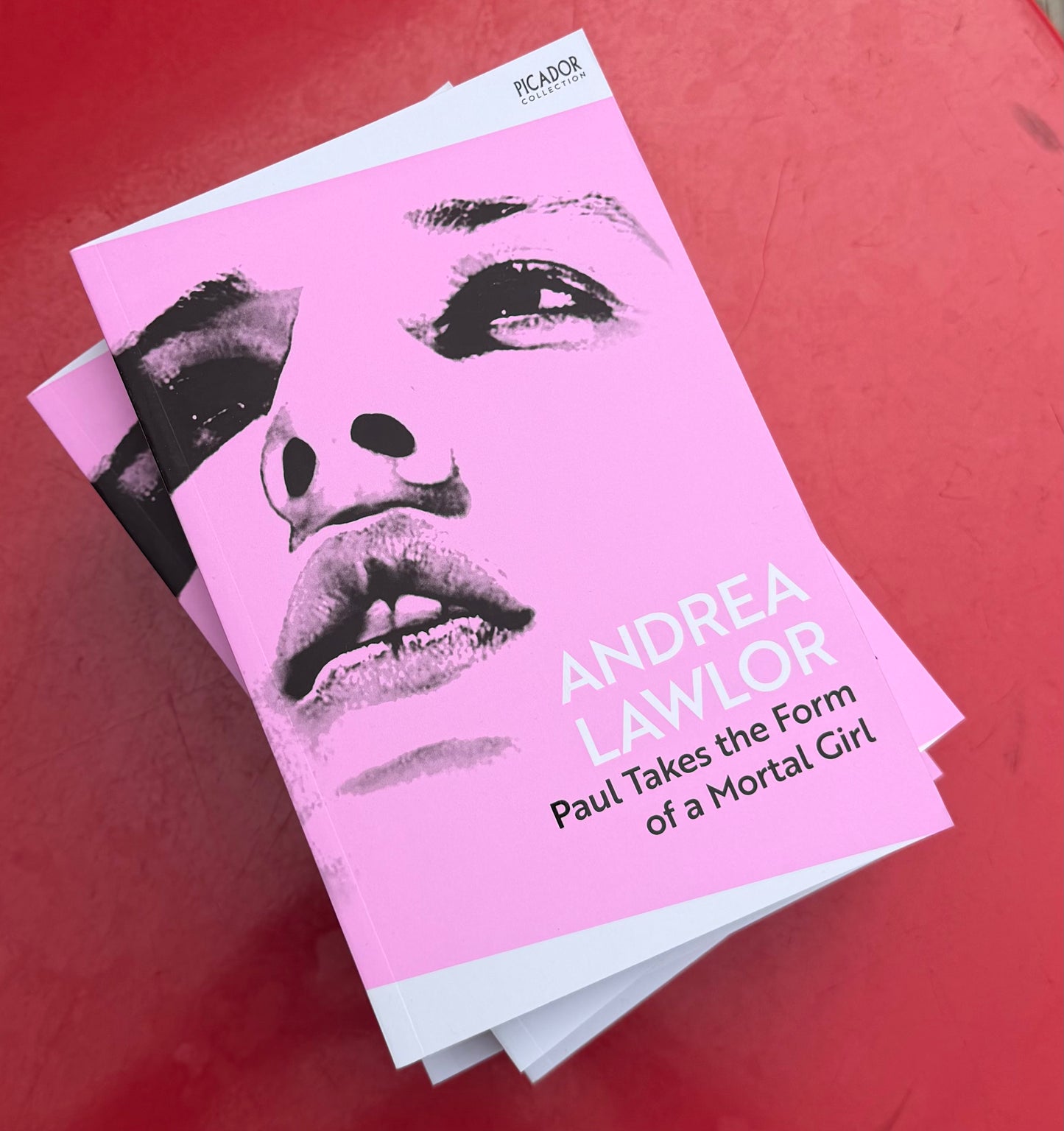 VSBS Queer Book Club - 19:00, Wednesday 24th June